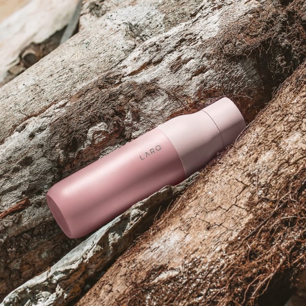Photo of LARQ Bottle - Himalayan Pink in forest